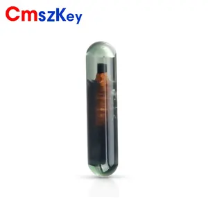 For Audi Fiat Acura Honda Chevrolet Car Key Transponder Chip ID13 Glass Blank Chip