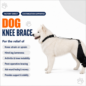 Attelle de genou pour chien durable, respirante, avec charnière élastique, pour la protection post-opératoire des membres arrière et le soutien articulaire des animaux de compagnie - Product Image 1