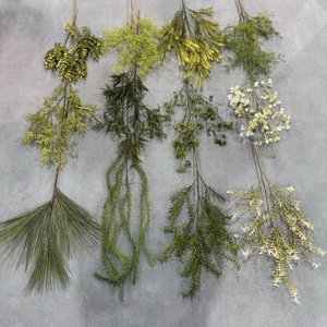 KW-F041 Plantas de Vegetación Forestal, Hierba Dorada de Mil Capas, Decoración de Paisajismo, Salieira Colgante - Product Image 1