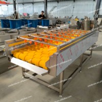 VBJX RVS Groente- en Fruitwater Spuit Hogedrukreiniger Borstel Spuit Reinigingsmachine