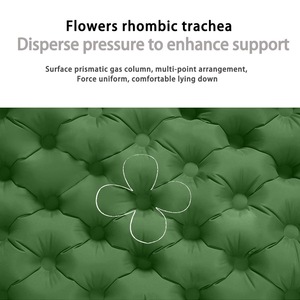 Matelas de <span class=keywords><strong>camping</strong></span> gonflable confortable en TPU avec double <span class=keywords><strong>pompe</strong></span> <span class=keywords><strong>à</strong></span> <span class=keywords><strong>pied</strong></span>, oreillers et <span class=keywords><strong>pompe</strong></span> <span class=keywords><strong>à</strong></span> <span class=keywords><strong>pied</strong></span> intégrée - Product Image 5