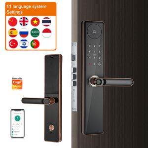 高品质WiFi图雅应用密码生物指纹数字智能木门拉手锁带钥匙 - Product Image 3