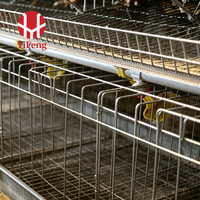 Système de cages pour poules pondeuses de type A, alimentation et abreuvement automatiques, collecte des œufs, OEM, courroie à fumier, abreuvoir à tétine, galvanisation à chaud