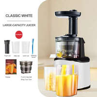 Hotselling stille smoothie elektrische centrifugale sapcentrifuge van roestvrij staal, fruitpers, blender, slowjuicer