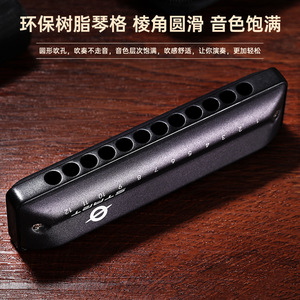 เฟยฟาน ฮาร์โมนิก้า 12 รู รุ่น QF12 สำหรับผู้เริ่มต้นและผู้ใหญ่ - Product Image 3