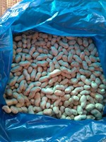 Cacahuetes cocidos congelados IQF con cáscara |   Cacahuetes Salados Certificados por BRC |   Venta al por Mayor para Servicios de Alimentación
