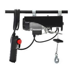 Pa1000 katrol listrik <span class=keywords><strong>Mini</strong></span> kecil 500kg - Product Image 2