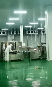 ซาลาเปาไส้ถั่วแดง อาหารเช้าแบบดั้งเดิม ซาลาเปาสำเร็จรูปแช่แข็งแบบเร็ว ขายส่ง ติ่มซำสไตล์กวางตุ้ง ถั่วแดงหวาน - Product Image 5