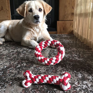 निर्माता उच्च गुणवत्ता वाली पालतू हड्डी और रिंग कपास रस्सी खिलौने प्रशिक्षण संवादात्मक कुत्ते के खिलौने प्रशिक्षण इंटरैक्टिव कुत्ते के खिलौने - Product Image 3