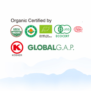 Bolsa de té Venta al por mayor de té orgánico de China Ganoderma Linzhi té verde - Product Image 5