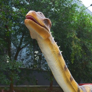 Dinosaurio de Cuello Largo para Parque Temático, Brachiosaurus 3D, Dinosaurios Robóticos, Modelo de Dinosaurio Animatrónico, Venta Especial de Modelos Animatrónicos - Product Image 5
