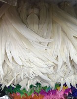 4-18 ''Plumas blancas Plumas De Gallo Atadas Cóctel Pluma Traje Plumas De Pollo Por Kilo Pluma Plumas Festival Decoración