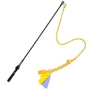 Customized New Style Outdoor Training Dog <b>Interactive</b> Dog <b>Toy</b> Pet <b>Toy</b> - Product Image 4