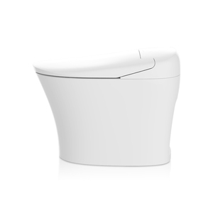 Bgtejjer-capteur <span class=keywords><strong>de</strong></span> chasse intelligent, système <span class=keywords><strong>de</strong></span> toilettes <span class=keywords><strong>de</strong></span> <span class=keywords><strong>luxe</strong></span>, pour salle <span class=keywords><strong>de</strong></span> bains, avec buse à bulles - Product Image 4