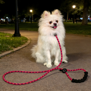 도매 강아지 용품 라이트업 개 목줄 LED 발광 애완견 목줄 야광 나일론 애완견 충전식 LED 목줄 세트 - Product Image 3