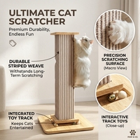 Arbre à chat durable de grande taille, Colonne Romaine, Simplicité, 66,5 cm, Griffoir en sisal, Structure d'activités pour l'auto-amusement et la lutte contre l'ennui