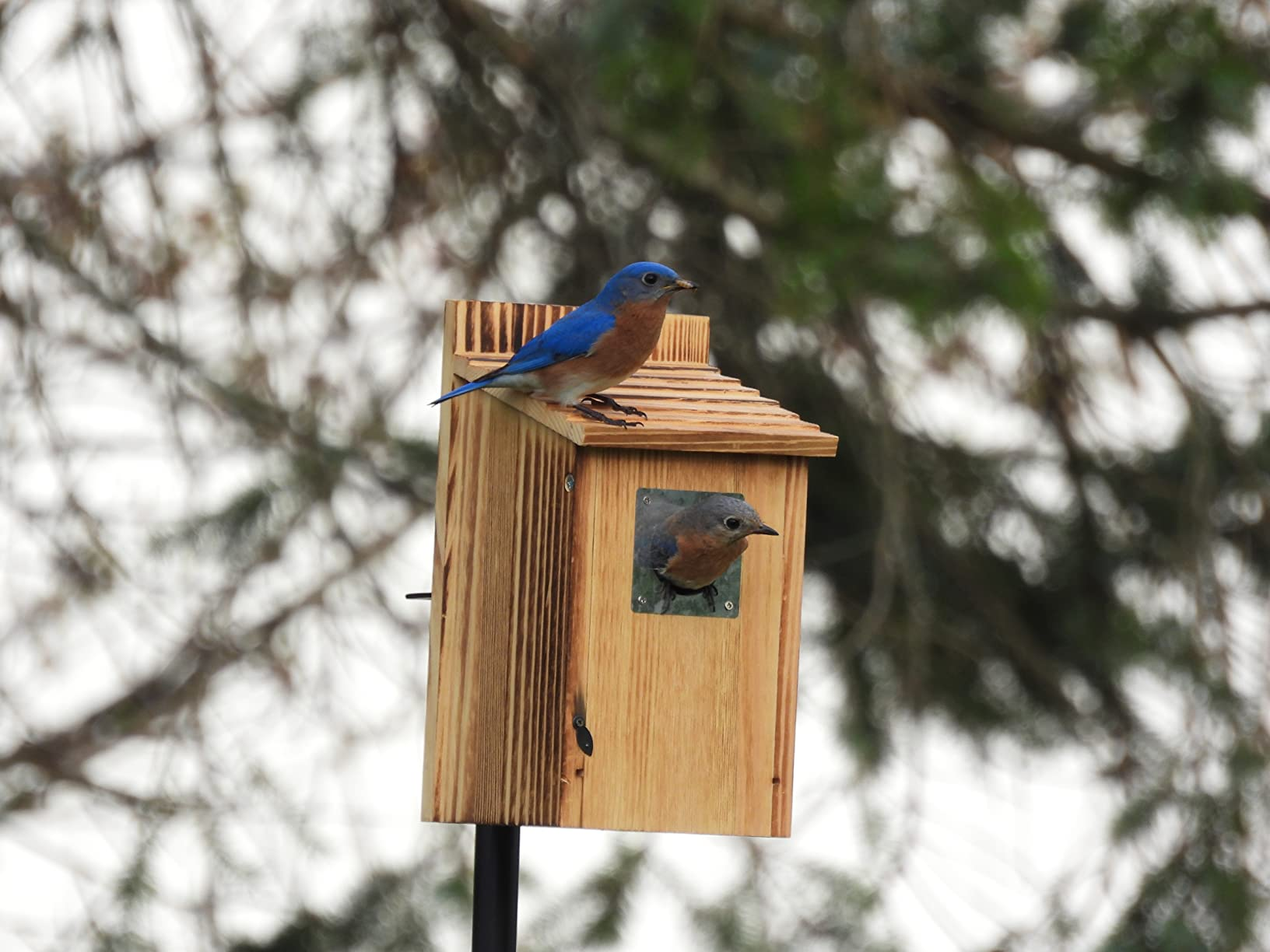 กำหนดเอง