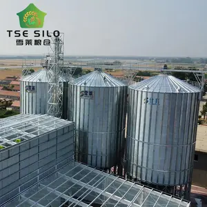 Silo à céréales à fond en trémie galvanisé à chaud pour ferme