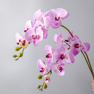 Orchidée Phalaenopsis Artificielle Haut de Gamme 100 cm en Soie avec Texture Réaliste Hydratée, Décoration Murale 3D Moderne Faite à la Main avec <span class=keywords><strong>Tige</strong></span> - Product Image 2
