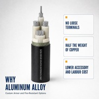 Kabel Daya Paduan Aluminium-Besi-Tembaga-Tunggal (Rare Earth) Tegangan Rendah 3*120+1*70 Cocok untuk Berbagai Rekayasa Tenaga, Dapat Disesuaikan