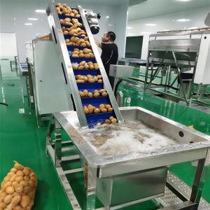 Fabrika özelleştirilmiş yarı otomatik patates cipsi üretim hattı meyve ve sebze cips yapma makinesi - Product Image 2