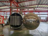Automatische Vriesdroger Lyofilisator Voor Appels Frambozen Moerbei Aardbeien-Plc Gereguleerde Fruitdroger Machine