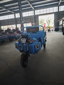 Stokta yeni kargo Trikes elektrikli Scooter Trike 3 tekerlek