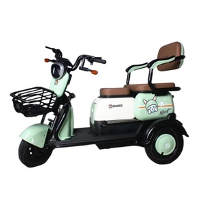Tricycle électrique 800W, petit scooter familial, tricycle électrique à trois places réglable, homologué EEC - Product Image 5