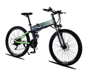 High-Power Elektrische Beachcruiser 200 Kg Belasting Grote Band Wiel Sneeuwfiets Dikke Band Carbon Velg Legering Schakelhendel Singapore India