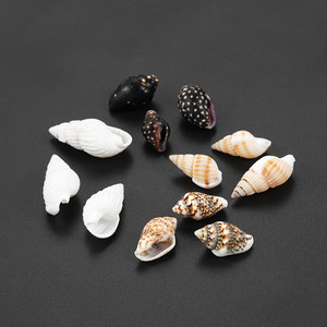 Natural Mini Seashell Craft Decorations White <b>Shell</b> Diy Home Decoration Eco Friendly Raw Material Yiwu Origin - Product Image 3