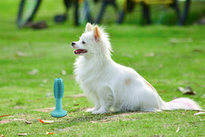 2026 Neues Langlebiges Gummi-Kauspielzeug für Haustiere mit Saugnapf - Product Image 2