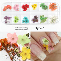 Décorations d'ongles 3D en fleurs séchées, mini autocollants de fleurs séchées réelles, motifs floraux naturels, décorations d'ongles DIY