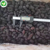 Iqf Exportprijs Sd Merk Gezond Fruit Bevroren Moerbei