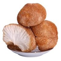 HACCP ISO gecertificeerde gedroogde leeuwenmanenzwam (Hericium Erinaceus) voor voedselverwerking, groothandel