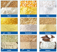 Machine à Broyer et Moudre les Grains de Soja, Manioc, Maïs, Avoine, Riz, Blé pour Farine Fine en Acier Inoxydable