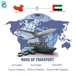 空运/海运联合包裹/联邦快递门到门物流从中国到阿拉伯联合酋长国的货运代理 - Product Image 6