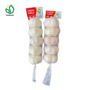 Ail frais comme marque <span class=keywords><strong>TIMA</strong></span> 10 kg/boîte 5.0/5.5cm exportation vers le marché du Sénégal - Product Image 4