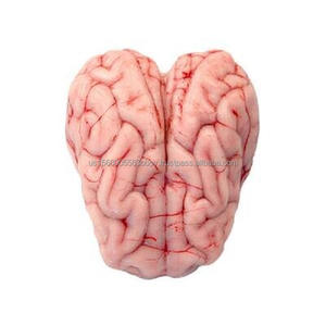 Cerdo mercado Cerebros - Product Image 5