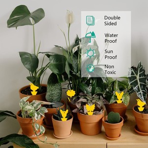 Pièges collants double face Pièges collants pour <span class=keywords><strong>plantes</strong></span> jaunes non toxiques Pièges à <span class=keywords><strong>moucherons</strong></span> pour <span class=keywords><strong>plantes</strong></span> d'intérieur - Product Image 3