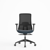 Chaise de bureau ergonomique en maille bleue pour le personnel, le visiteur, le patron, le fabricant, avec soutien lombaire moyen et accoudoirs