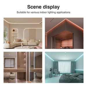 Gledopto GL-C-218M Matter WiFi Smart LED <span class=keywords><strong>PWM</strong></span>-<span class=keywords><strong>controller</strong></span> RGB CCT Push-dim schakelaar Spraakbesturing 480W 20M bereik Huisautomatisering - Product Image 4