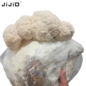 JIJID 버섯 스폰 가방 버섯 성장 가방 기판 고온 사전 밀봉 오토 클레이브 마치 버섯 가방
