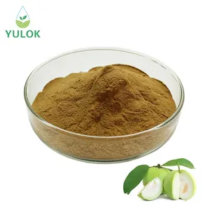 Hoogwaardige Gezondheidszorg Supplementen Natuurlijke Plant Extract Antioxidant Guave Leaf Extract