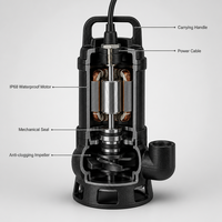 Pompe submersible pour eaux usées 20m³/h, hauteur de refoulement 10m, moteur électrique 1,5kW, IP68, pour drainage agricole, eaux usées, CE