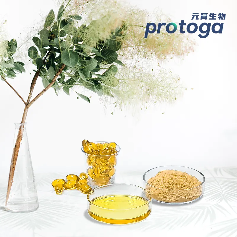 Protoga tự nhiên Omega 3 Microalgae chiết xuất DHA algea dầu cho người cao tuổi thực phẩm sức khỏe