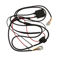 12V 24V 260W LED-Zusatzleuchte mit Kabelloser Fernbedienung und Kabelbaum-Modul, Stroboskop für Autos und LKWs