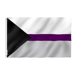 Drapeaux LGBT Aroace Pride Aromantic Asexual 3x5 pieds en polyester avec œillets en laiton - Product Image 2