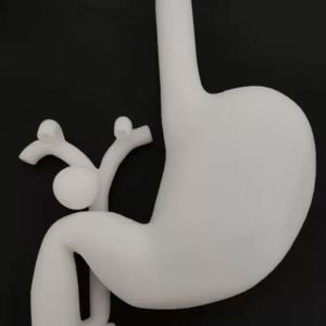 KyrenMed-Modelo de entrenamiento de Gastroscopia ERCP 3D, simulador de entrenamiento de cirugía gastroscópica con bandeja bucal y soporte - Product Image 6