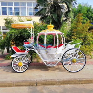 Carruajes de Cenicienta Eléctricos sin Caballos para Bodas y Turismo, Precios de Fábrica al por Mayor - Product Image 2