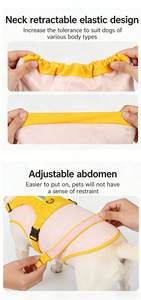 Vêtements pour animaux de compagnie, imperméable coupe-vent pour chien, léger, de luxe, pour petits et moyens chiens, avec capuche réglable et poches - Product Image 5